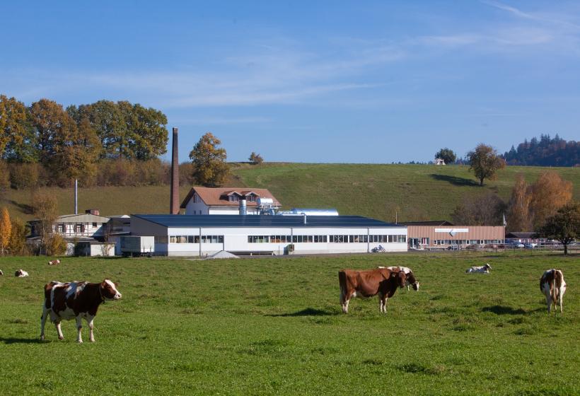 AG_Cilander_Unternehmen