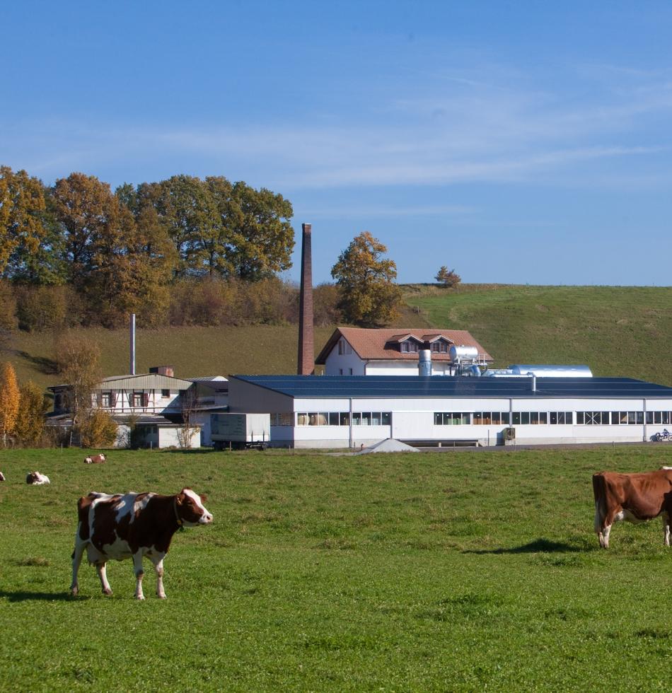 AG_Cilander_Unternehmen